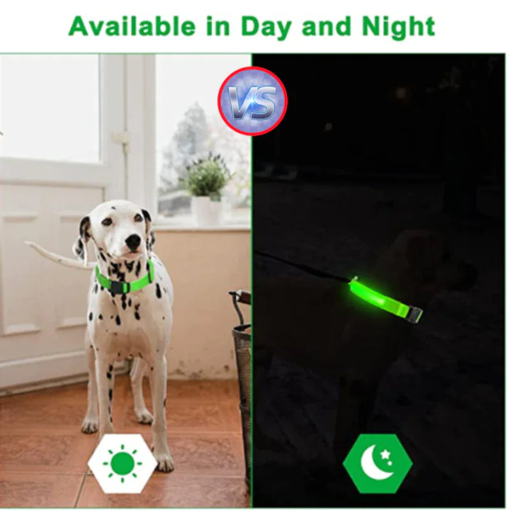 Vesta & Erez LED-Hundehalsband – Verstellbares, wasserdichtes Sicherheits-Halsband mit hoher Sichtbarkeit